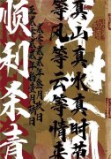 电影《草木人间》历时八个月现已正式杀青